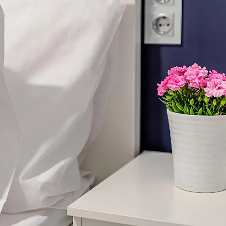 아파트 Boutique Downtown