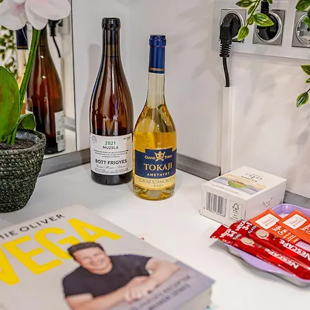 Boutique Downtown Apartamento Budapeste