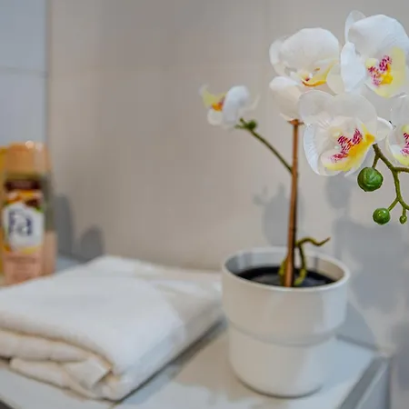 Apartamento Boutique Downtown Budapeste